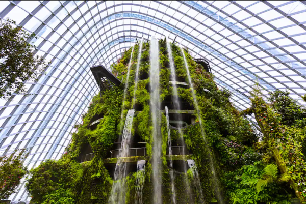 Cloud Forest Singapore: Keajaiban Hutan Awan di Tengah Beton Metropolis