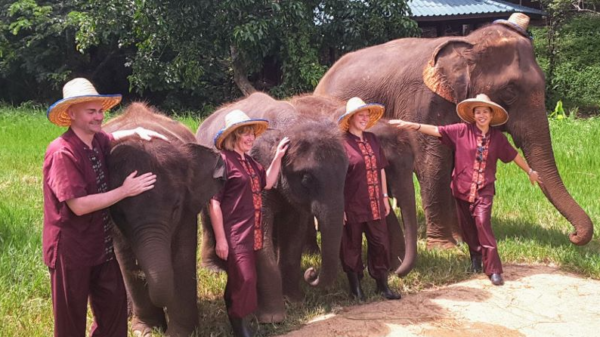 Keajaiban Elephant Rescue Park: Merawat Gajah dan Kehidupan Liar di Pusat Penyelamatan Gajah