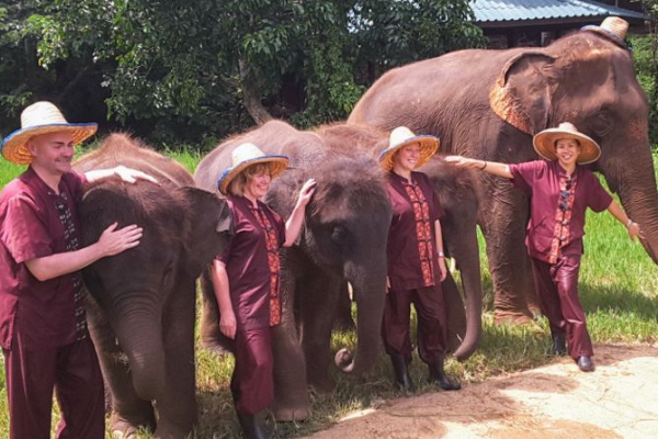 Keajaiban Elephant Rescue Park: Merawat Gajah dan Kehidupan Liar di Pusat Penyelamatan Gajah