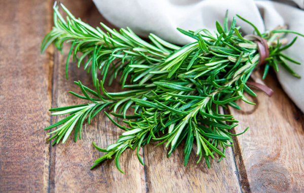 Rosemary: Aroma yang Menggoda dengan Manfaat Kesehatan yang Luar Biasa