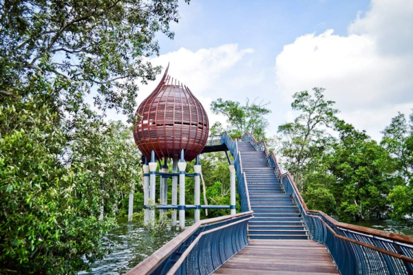 Sungei Buloh Wetland Reserve: Eksplorasi Keajaiban Alam Singapura yang Tersembunyi