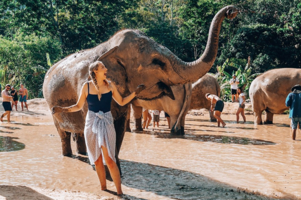 Green Elephant Sanctuary Park: Mengungkap Keajaiban Kehidupan Gajah di Tengah Kebun Binatang Berkonsep Konservasi