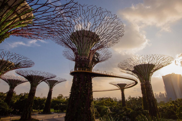 Supertree Grove: Keajaiban Arsitektur Alam Futuristik di Tengah Kota Singapura